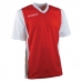 MAPS MAGLIA  AJAX