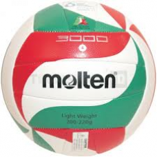 VOLLEY BALL V4M3000