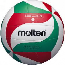 VOLLEY BALL V5M1500