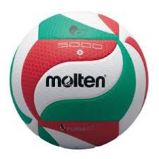 VOLLEY BALL V5M2501